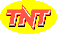 Logo used by TNT (US) (1990-1995) and by TNT Classic Movies (UK) (1993-1999)