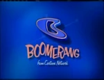 Logo used on promos.