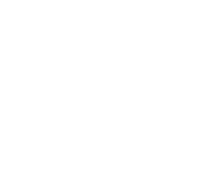 Pro Video International