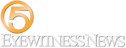 Alternate logo