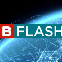 Zib Flash Logopedia Fandom