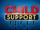 Child Support