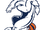 Denver Broncos