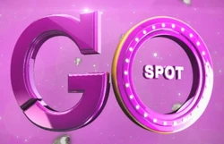 Go Spot 2014