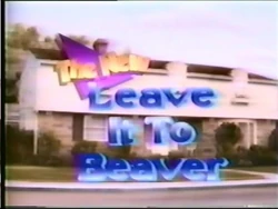 The-new-leave-it-to-beaver