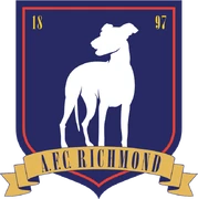 AFC Richmond.png (118 KB) AFC Richmond logo