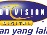 Indovision