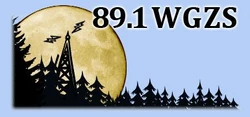 Logo of WGZS