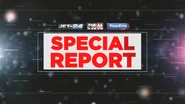 Special report open (2020)