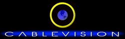 Website logo (1997)