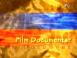Program type bumper