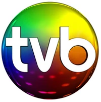 Tvb logo1