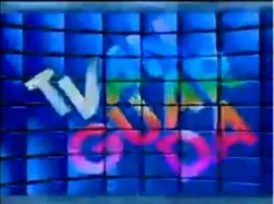 Vanguarda tv logo 2010