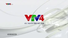 VTV4 (01.01.2019-03.01