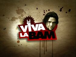 Viva La Bam Title Screen.jpg