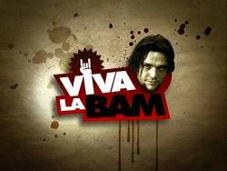 Viva La Bam Title Screen