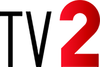 1993 FIFA U-17 World Championship | Logopedia | Fandom