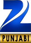 Zee Punjabi 2011