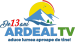 13th anniversary logo (2022)