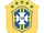 Confederação Brasileira de Futebol