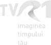 Alternate white logo with slogan "Imaginea timpului tău" (2004–2007)