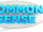 Common Sense (TV series)