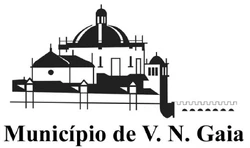 Vng logo