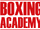 Boxing Academy