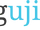 Ruanguji