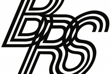 Blue ribbon sports logo sales