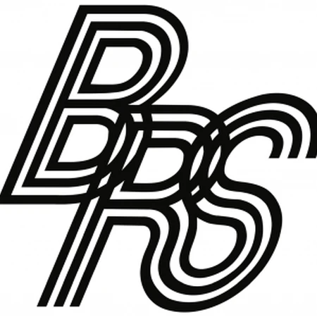 blue ribbon sports logo