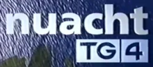 Nuacht TG4 1999
