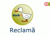 Duck TV