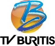 Tvburitis2004