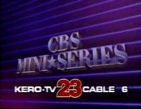 Legal ID bug, displayed during the CBS Mini-Series (1988)