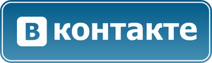 Vkontakte 2007