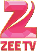 Zee TV Russia 2014