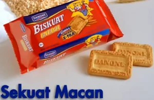 Danone Biskuat Energi