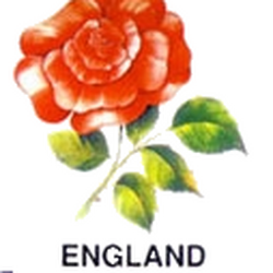 images England Rugby Union Logo england national rugby union team