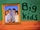 Big Kids