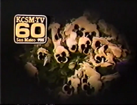 Station ID (1982)