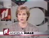 Onscreen news bug (1996)