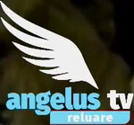 Reluare on-screen bug