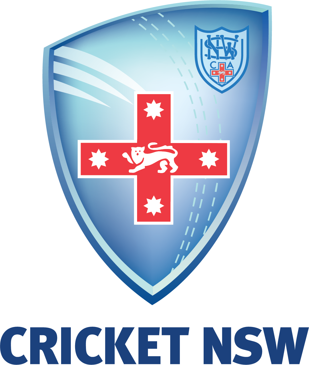 South Africa National Cricket Team logo transparent PNG - StickPNG