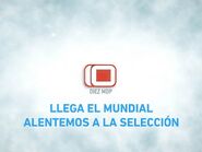 Diez MDP (2014 - Mundial).jpg (42 KB) 2014 World Cup