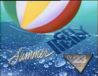 "Get Ready for TV 23" #3 (1989–1990)