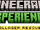 Minecraft Experience