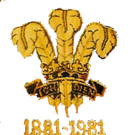 Welsh Rugby Union Logopedia Fandom