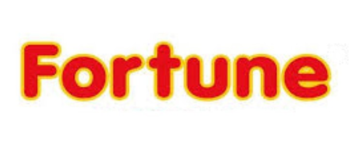 Fortune Technology India