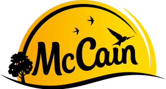 McCain 2022